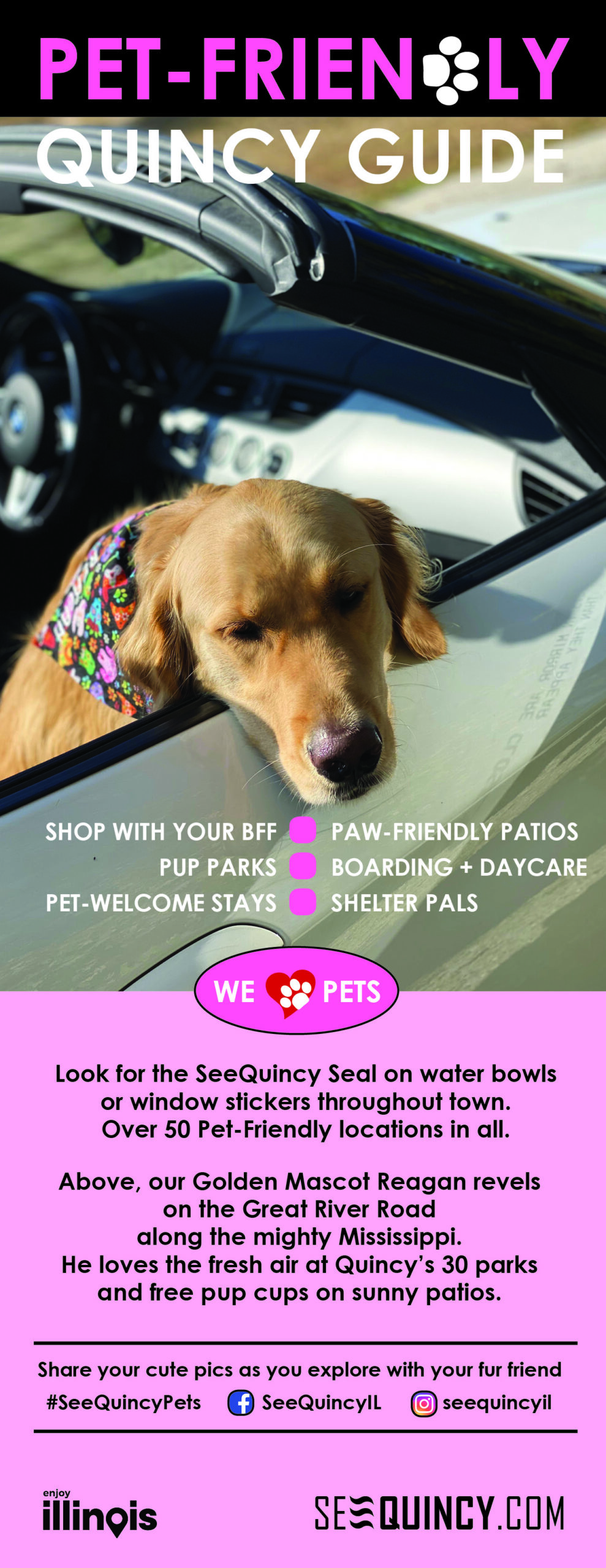 Pet friendly shops outlet near me