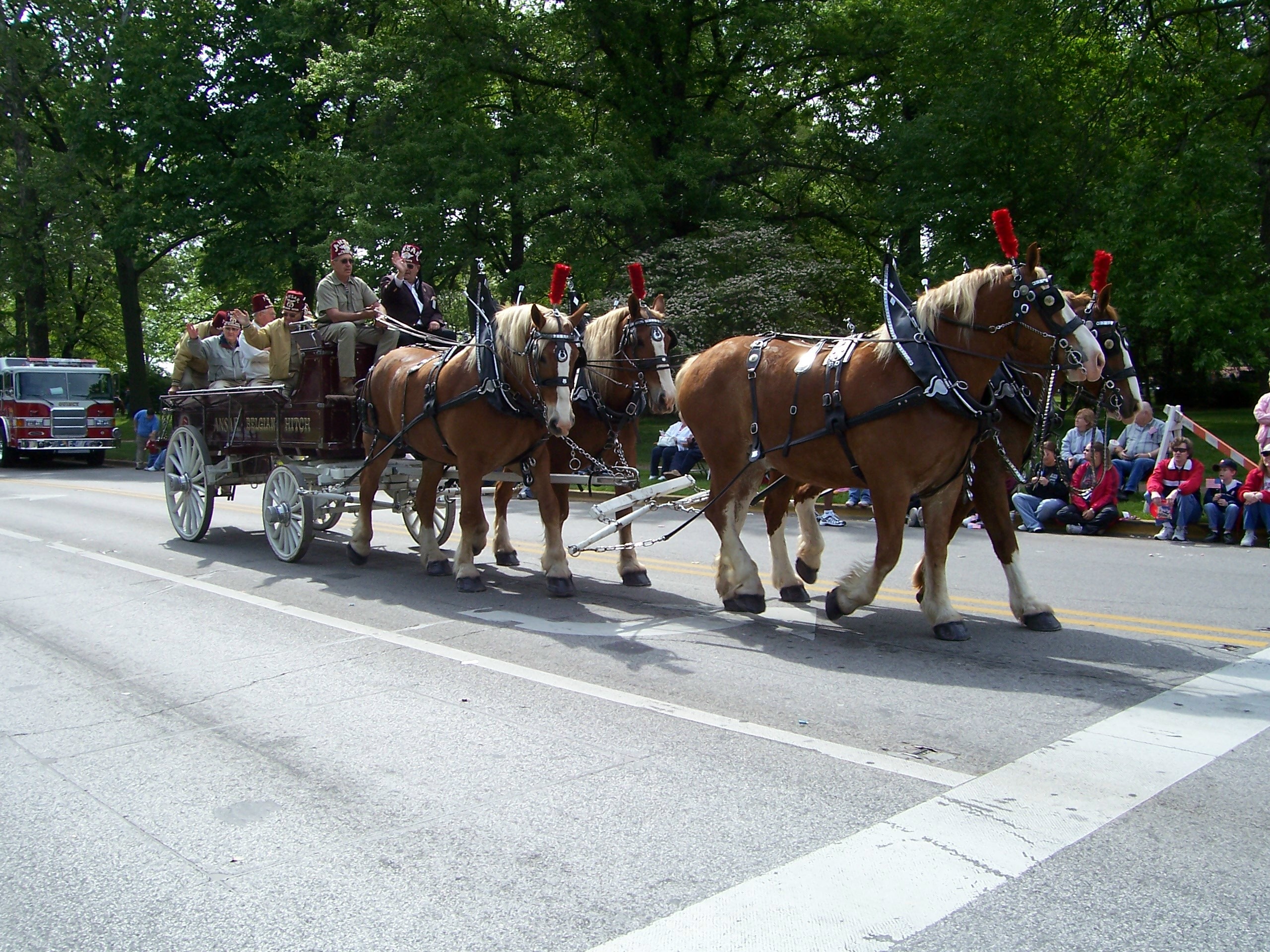 Dogwood Parade Horses