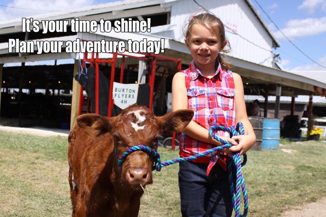 Adams County Fair Girl with Cow