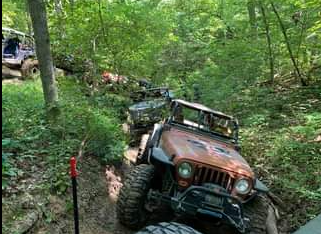 Jeep on Safari