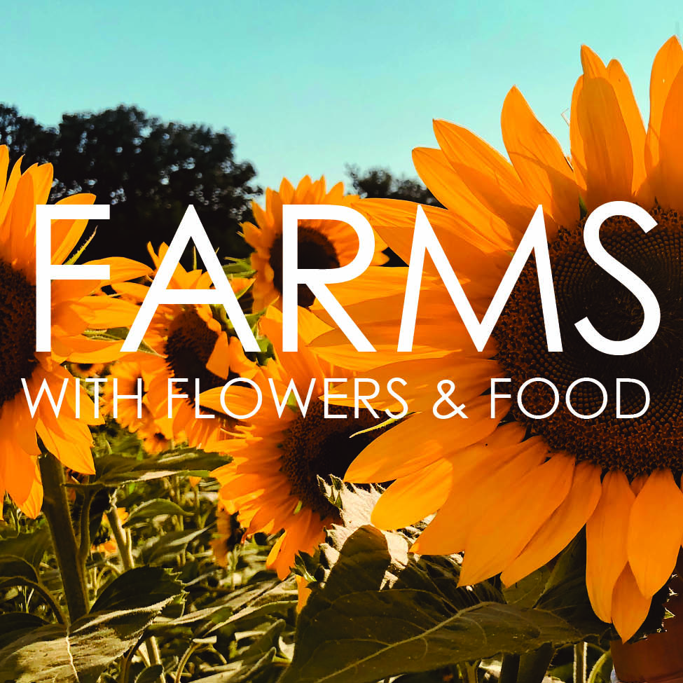 Farms with Flowers & Food
