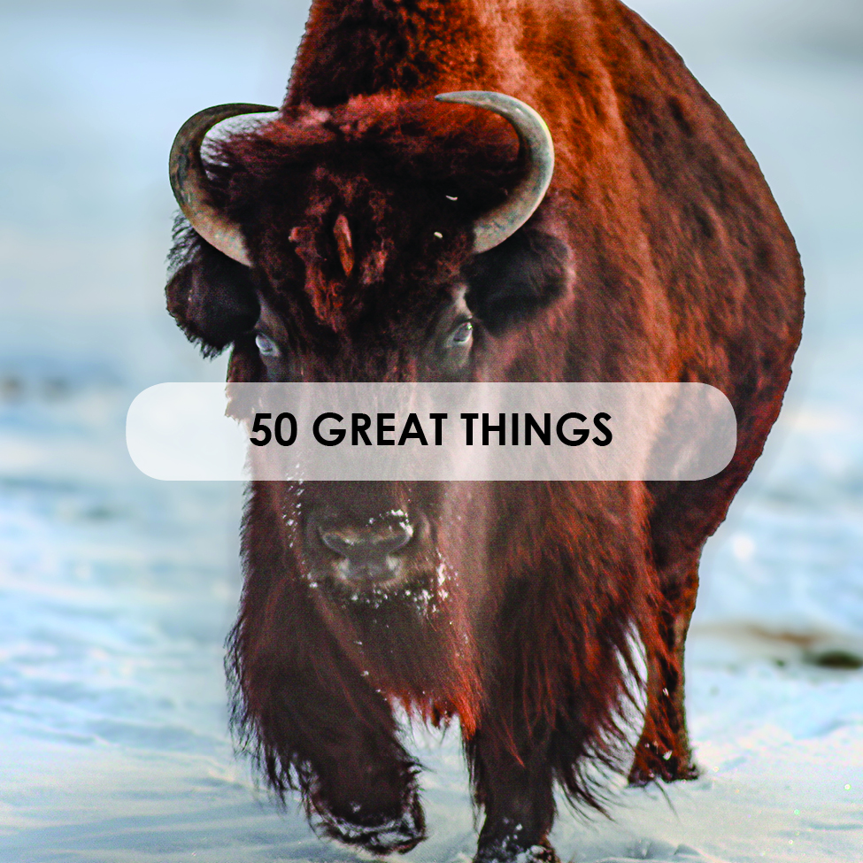 50 Great Things to See & Do