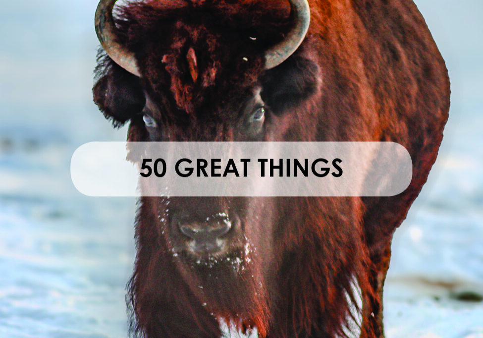 50 great things_guide box