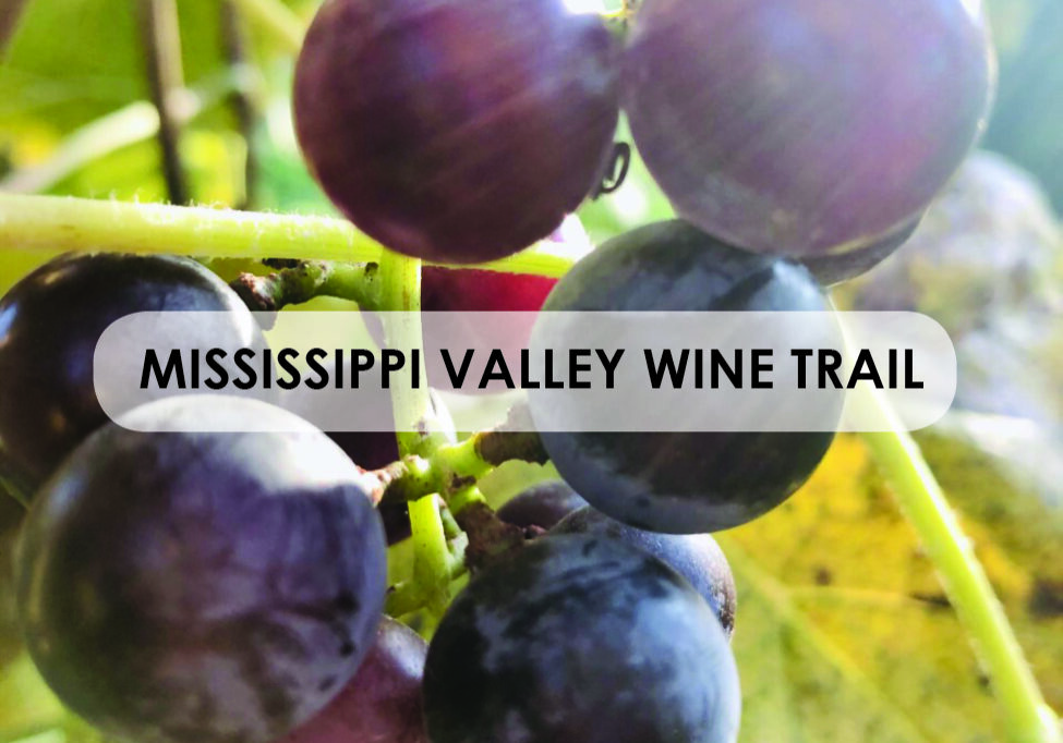 mississippi valley wine trail_guide box